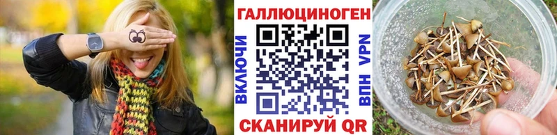 Псилоцибиновые грибы прущие грибы как найти наркотики Пыталово
